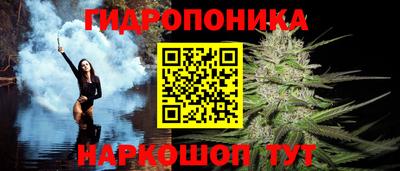 гашик Ликино-Дулёво
